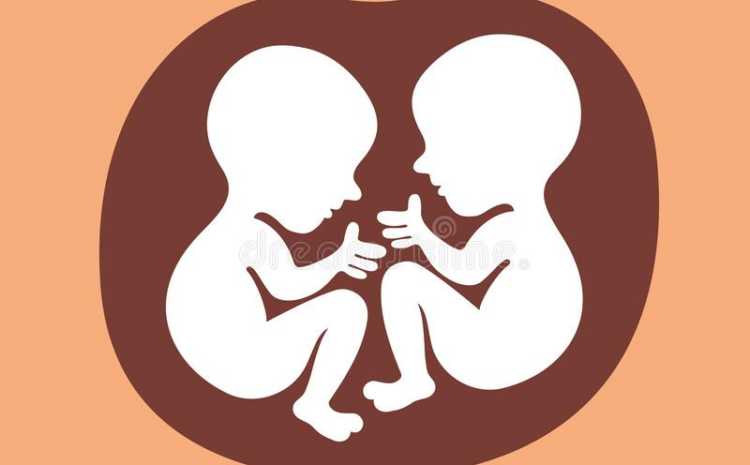  Zwangerschapsverlof – vervanging An-Sofie